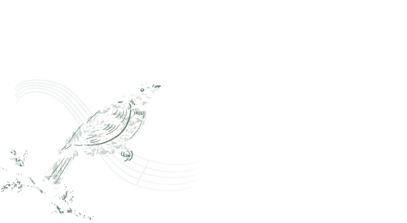 森音楽教室